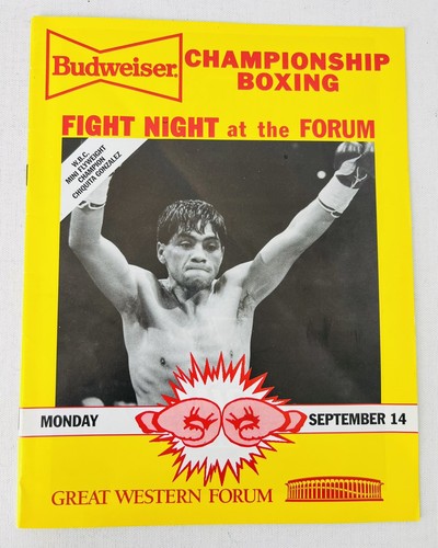 Boxing program official book - book,
